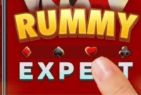 Rummy Expert